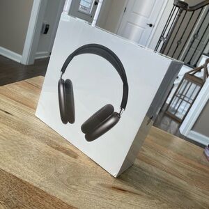 Apple Air Maxs Midnight Black Headphones